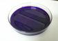 Violet 5v Pu Pigment Paste Độ bền màu cao Chứng nhận SGS MSDS COA TDS nhà cung cấp
